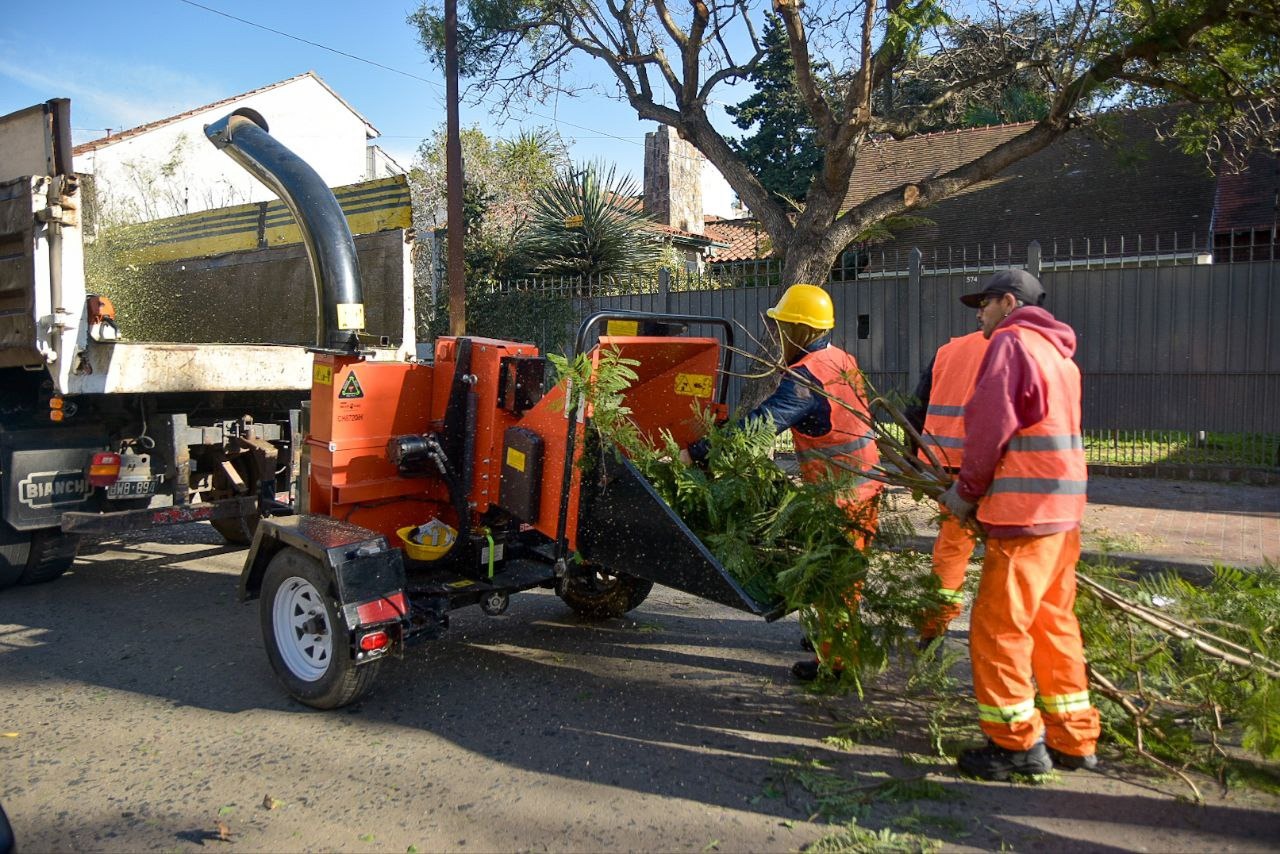 EL MUNICIPIO CONTINÚA CON TAREAS DE PODA EN DIFERENTES BARRIOS DEL DISTRITO