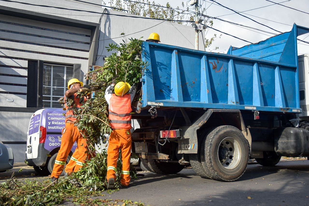 EL MUNICIPIO CONTINÚA CON TAREAS DE PODA EN DIFERENTES BARRIOS DEL DISTRITO