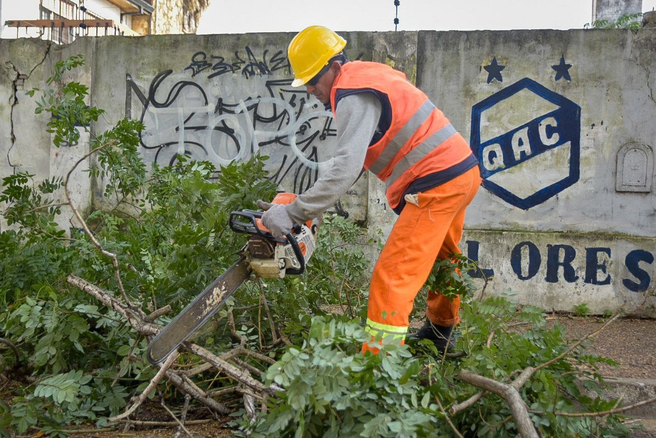 EL MUNICIPIO CONTINÚA CON TAREAS DE PODA EN DIFERENTES BARRIOS DEL DISTRITO